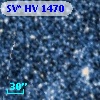 SV* HV  1470