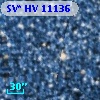 SV* HV 11136