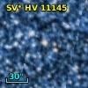 SV* HV 11145