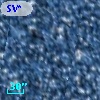SV* HV 11291