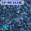 SV* HV 11146