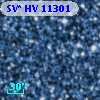 SV* HV 11301