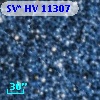 SV* HV 11307