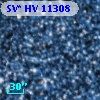 SV* HV 11308
