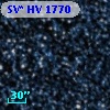 SV* HV  1770