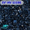 SV* HV 11186