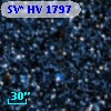 SV* HV  1797