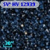 SV* HV 12939