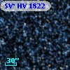 SV* HV  1822