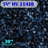 SV* HV 11410