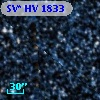 SV* HV  1833