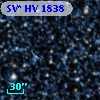 SV* HV  1838
