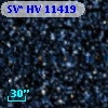 SV* HV 11419