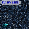 SV* HV  1853