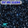 SV* HV 11194