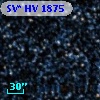 SV* HV  1875