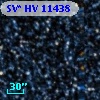 SV* HV 11438