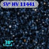 SV* HV 11441
