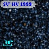 SV* HV  1889