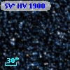 SV* HV  1900