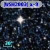 [WSH2003] a-9