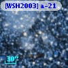 [WSH2003] a-21