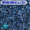 [WSH2003] a-22