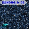 [WSH2003] b-20
