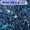 [WSH2003] b-22