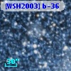 [WSH2003] b-36