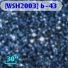 [WSH2003] b-43
