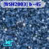 [WSH2003] b-45