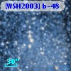 [WSH2003] b-48