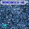 [WSH2003] b-49
