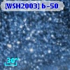 [WSH2003] b-50