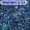 [WSH2003] b-51