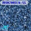 [WSH2003] b-55