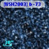 [WSH2003] b-73