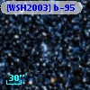 [WSH2003] b-95