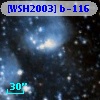 [WSH2003] b-116