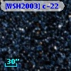 [WSH2003] c-22