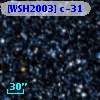 [WSH2003] c-31