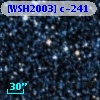 [WSH2003] c-241