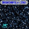 [WSH2003] c-291