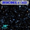 [WSH2003] c-313