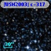 [WSH2003] c-317