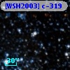 [WSH2003] c-319