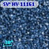 SV* HV 11161