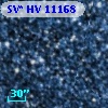 SV* HV 11168