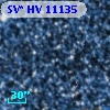SV* HV 11135